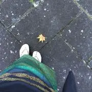 まめゆみの画像