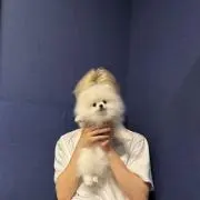 うずの画像