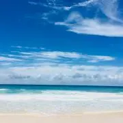 sea_blueの画像