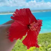 M♡Hの画像