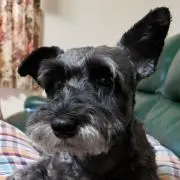 Akilro