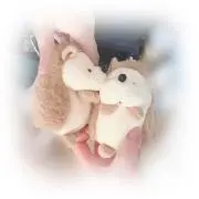 みさきねこの画像