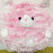 Mado*の画像