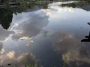 あき