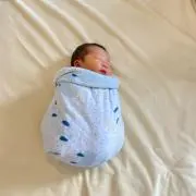 tomobooの画像