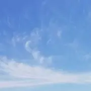 Zoeの画像