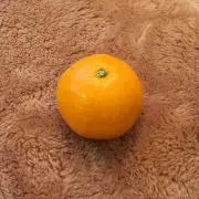 みかんの画像