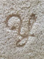 ミントの画像