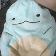 トカゲ^_^の画像