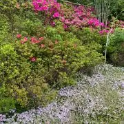 LIUの画像