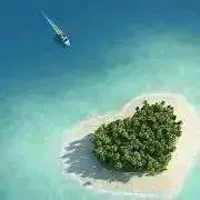 ♡ Y ♡の画像