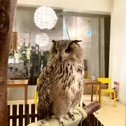 てるよしの画像