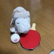 ぽち☆の画像