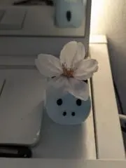 れいこの画像