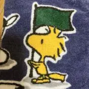 ぬんちゃくの画像