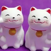 緋乃花の画像
