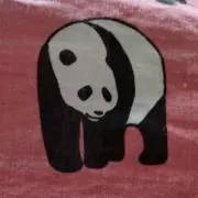 匿名さんの画像
