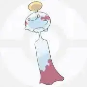 ぽんの画像