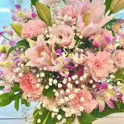 yuyu まとめ買い更に割引有りの画像