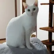 JUN