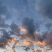 gimyの画像