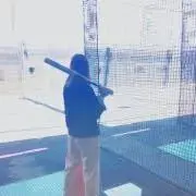 カイトの画像