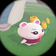 あいの画像