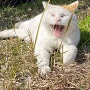 ゆうきちゃんの画像