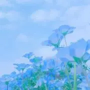 わか