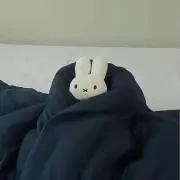 Pの画像