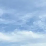 Sの画像