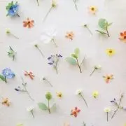 S♡♡◌⑅⃝♡◌*⃝̥の画像