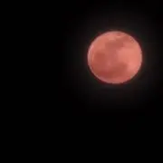 モーリー