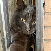 るー