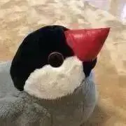 しなももの画像