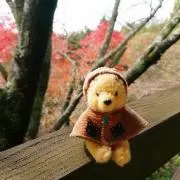 ぴのこの画像