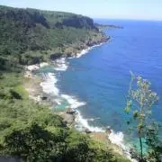 海