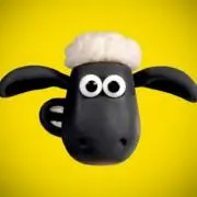 shaunの画像