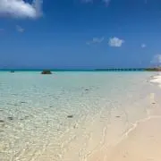 hhhhh.の画像