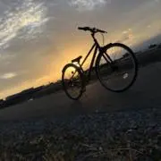 そうんだの画像