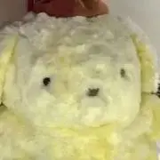 ハゲ太の画像