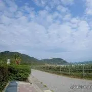 tzr504663の画像