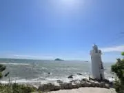 niechekの画像