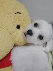 Ｙ！プロフ必読の画像