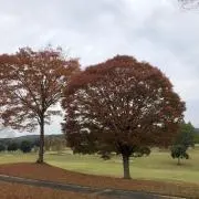 Rock雑貨の画像