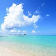 ポン太郎の画像