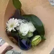 おもちの画像