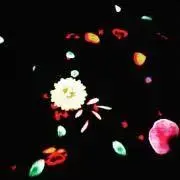 Grace ☻の画像
