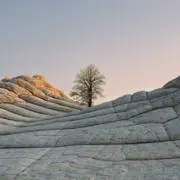 mowの画像