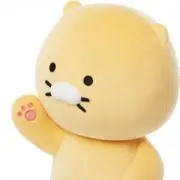 82の画像